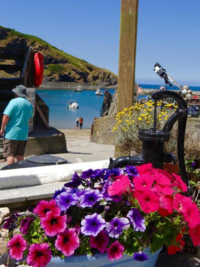 The Slipway B&B Port Isaac Dış mekan fotoğraf
